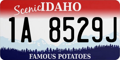 ID license plate 1A8529J