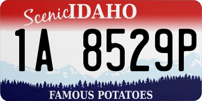 ID license plate 1A8529P