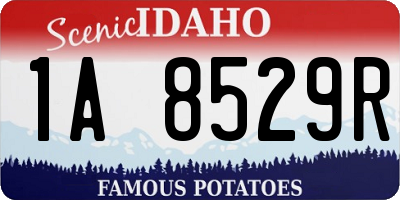 ID license plate 1A8529R