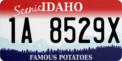 ID license plate 1A8529X