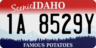 ID license plate 1A8529Y