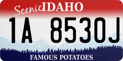 ID license plate 1A8530J