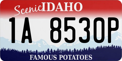 ID license plate 1A8530P