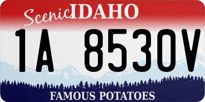 ID license plate 1A8530V