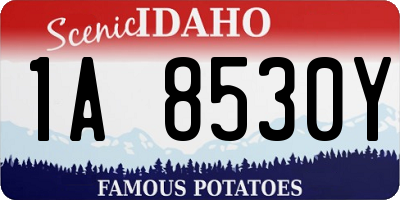 ID license plate 1A8530Y