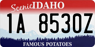 ID license plate 1A8530Z