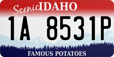 ID license plate 1A8531P