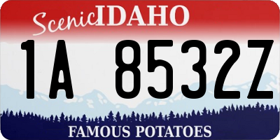 ID license plate 1A8532Z