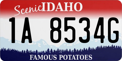 ID license plate 1A8534G
