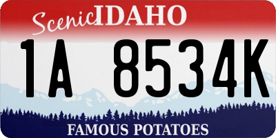 ID license plate 1A8534K