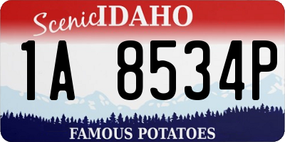 ID license plate 1A8534P