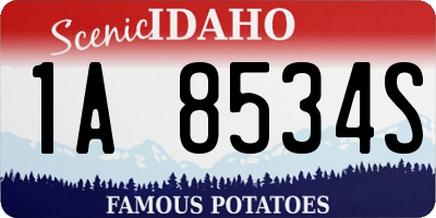 ID license plate 1A8534S
