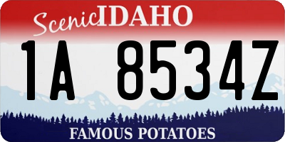 ID license plate 1A8534Z