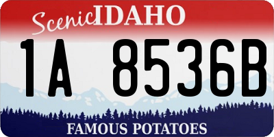 ID license plate 1A8536B