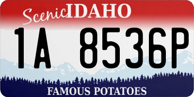 ID license plate 1A8536P