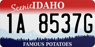 ID license plate 1A8537G