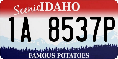 ID license plate 1A8537P