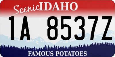 ID license plate 1A8537Z