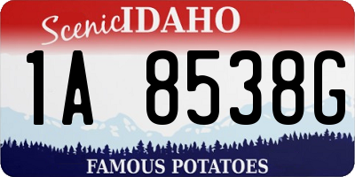 ID license plate 1A8538G