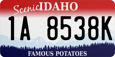 ID license plate 1A8538K