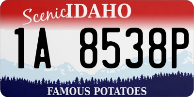 ID license plate 1A8538P