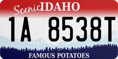 ID license plate 1A8538T
