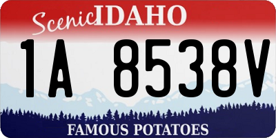 ID license plate 1A8538V