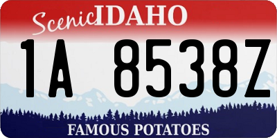 ID license plate 1A8538Z