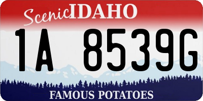 ID license plate 1A8539G