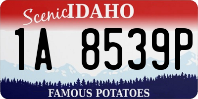 ID license plate 1A8539P