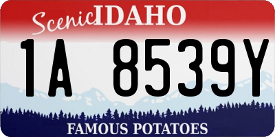 ID license plate 1A8539Y