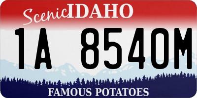 ID license plate 1A8540M