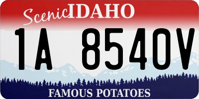 ID license plate 1A8540V