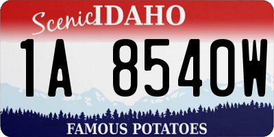 ID license plate 1A8540W