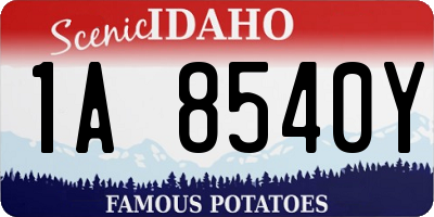 ID license plate 1A8540Y