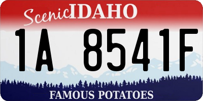 ID license plate 1A8541F