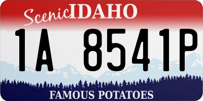 ID license plate 1A8541P