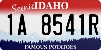 ID license plate 1A8541R