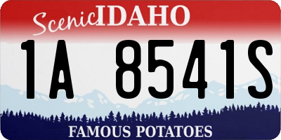 ID license plate 1A8541S