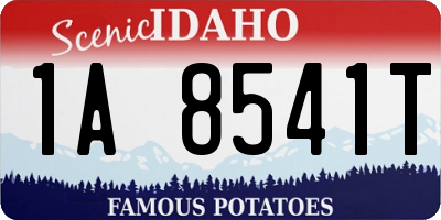 ID license plate 1A8541T