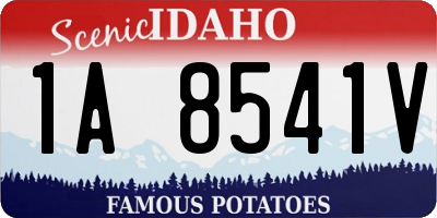 ID license plate 1A8541V