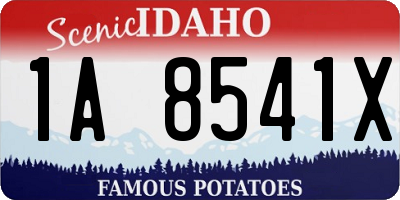 ID license plate 1A8541X