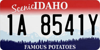 ID license plate 1A8541Y