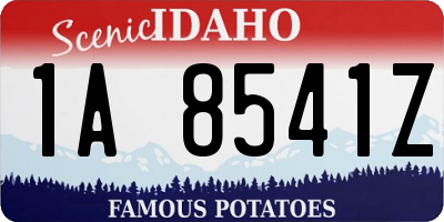 ID license plate 1A8541Z