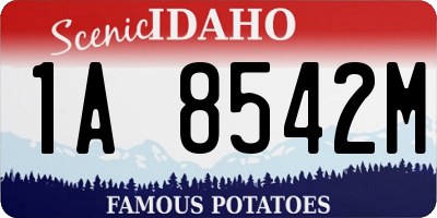 ID license plate 1A8542M