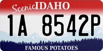 ID license plate 1A8542P
