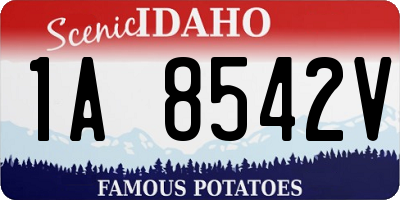 ID license plate 1A8542V