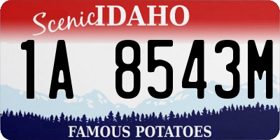 ID license plate 1A8543M