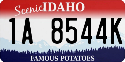 ID license plate 1A8544K