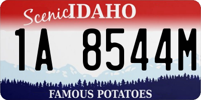ID license plate 1A8544M
